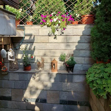 Planinski Zdravets