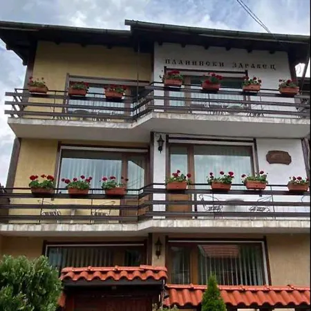 Planinski Zdravets