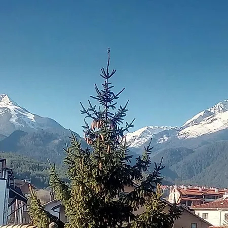 Pensión Planinski Zdravets Bansko