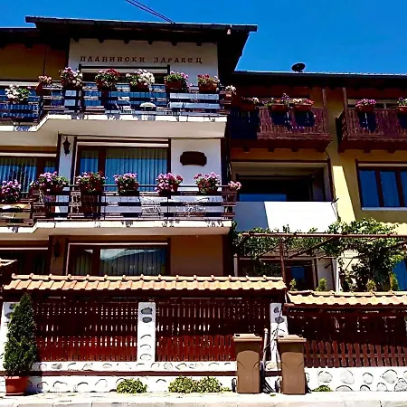 Guest house Planinski Zdravets Bansko
