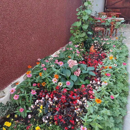 Planinski Zdravets Maison d'hôtes