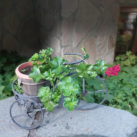 Maison d'hôtes Planinski Zdravets