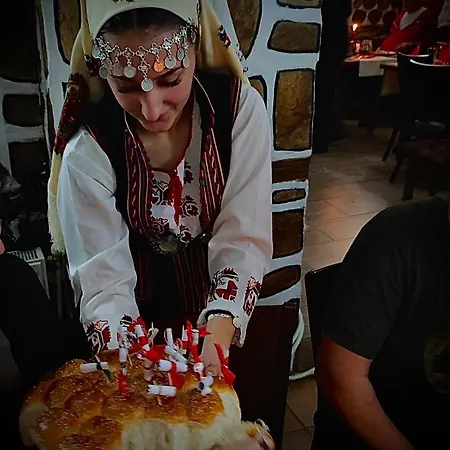 Planinski Zdravets Penzion Bansko