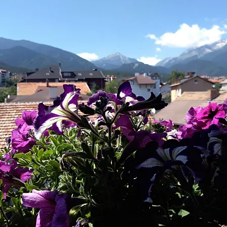 Pensiune Planinski Zdravets Bansko