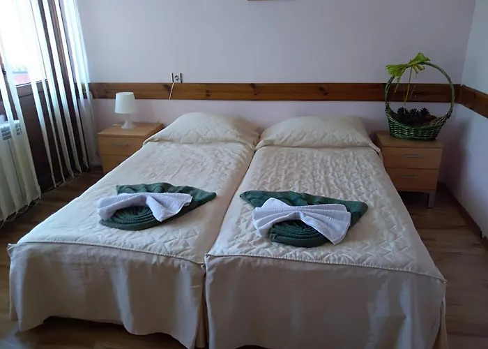 Planinski Zdravets Banszko