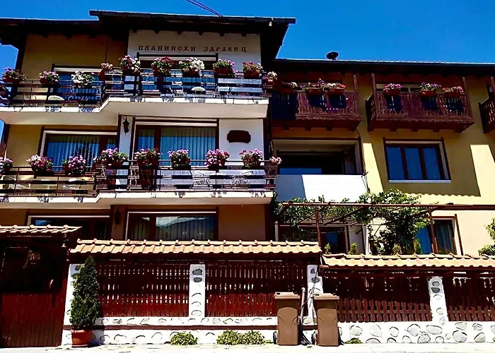 Pensjonat Planinski Zdravets Bansko
