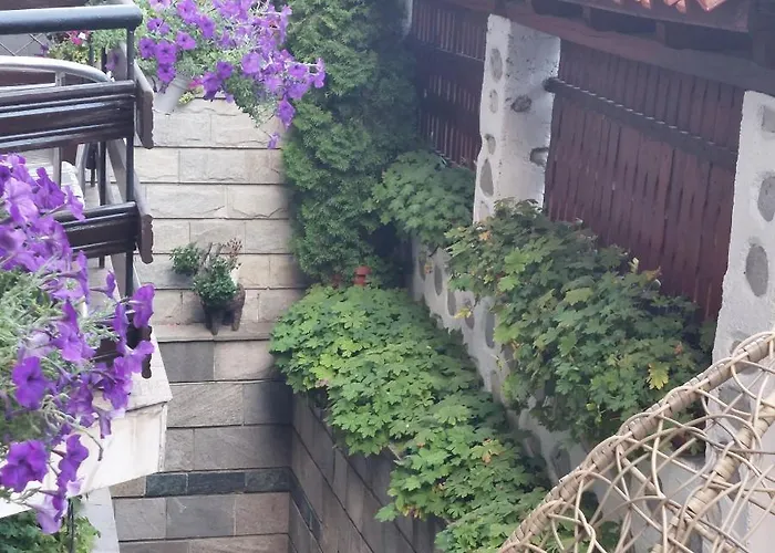 Pensjonat Planinski Zdravets 3*