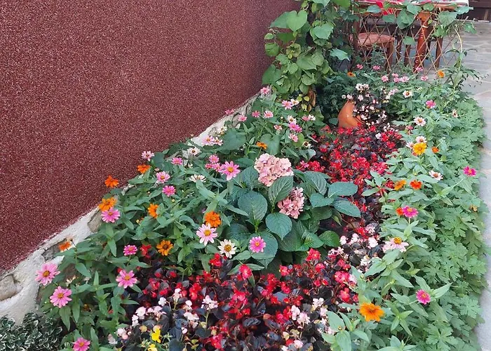 Planinski Zdravets Gasthuis