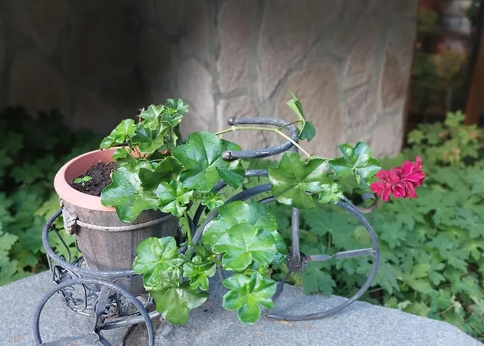 Vendégház Planinski Zdravets