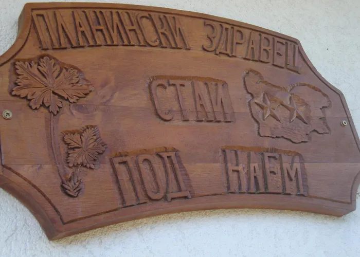 Pensjonat Planinski Zdravets Bansko