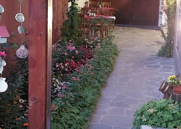 Planinski Zdravets Pensjonat