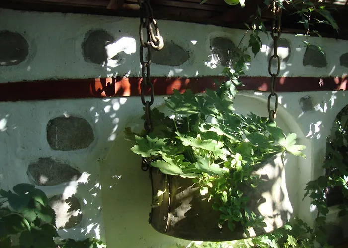 Planinski Zdravets Banszko