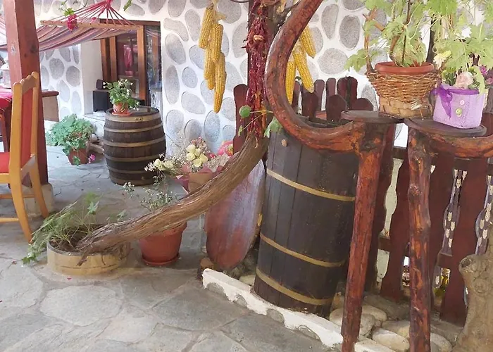 Pensjonat Planinski Zdravets Bansko