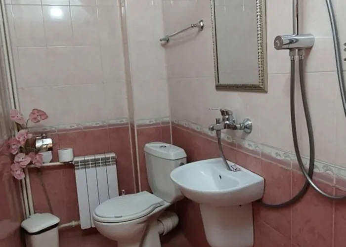 Pensjonat Planinski Zdravets