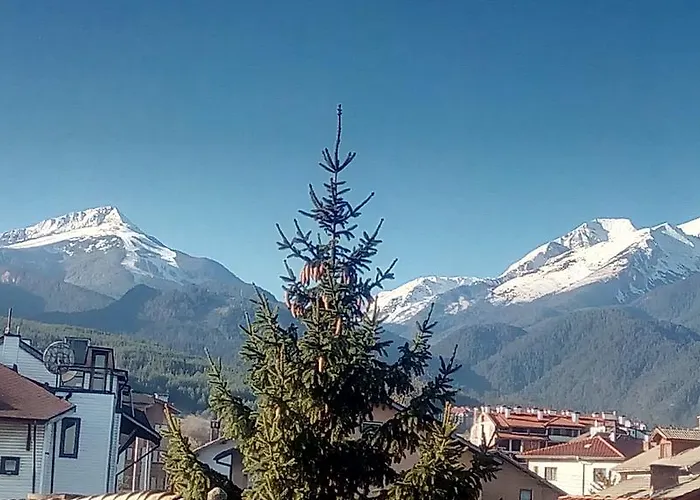 Pensjonat Planinski Zdravets Bansko