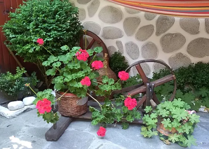 Pensjonat Planinski Zdravets Bansko