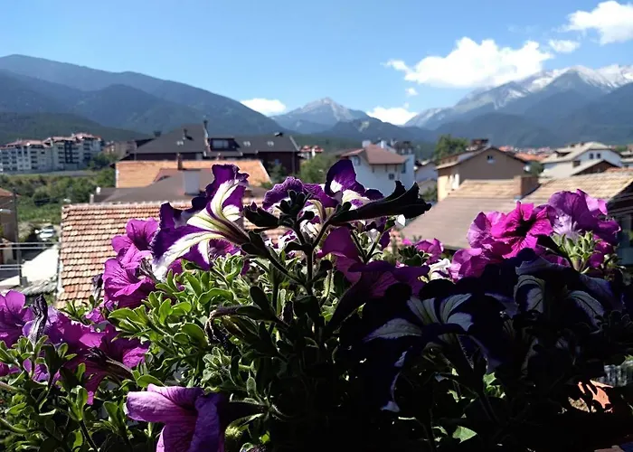 Pensjonat Planinski Zdravets Bansko